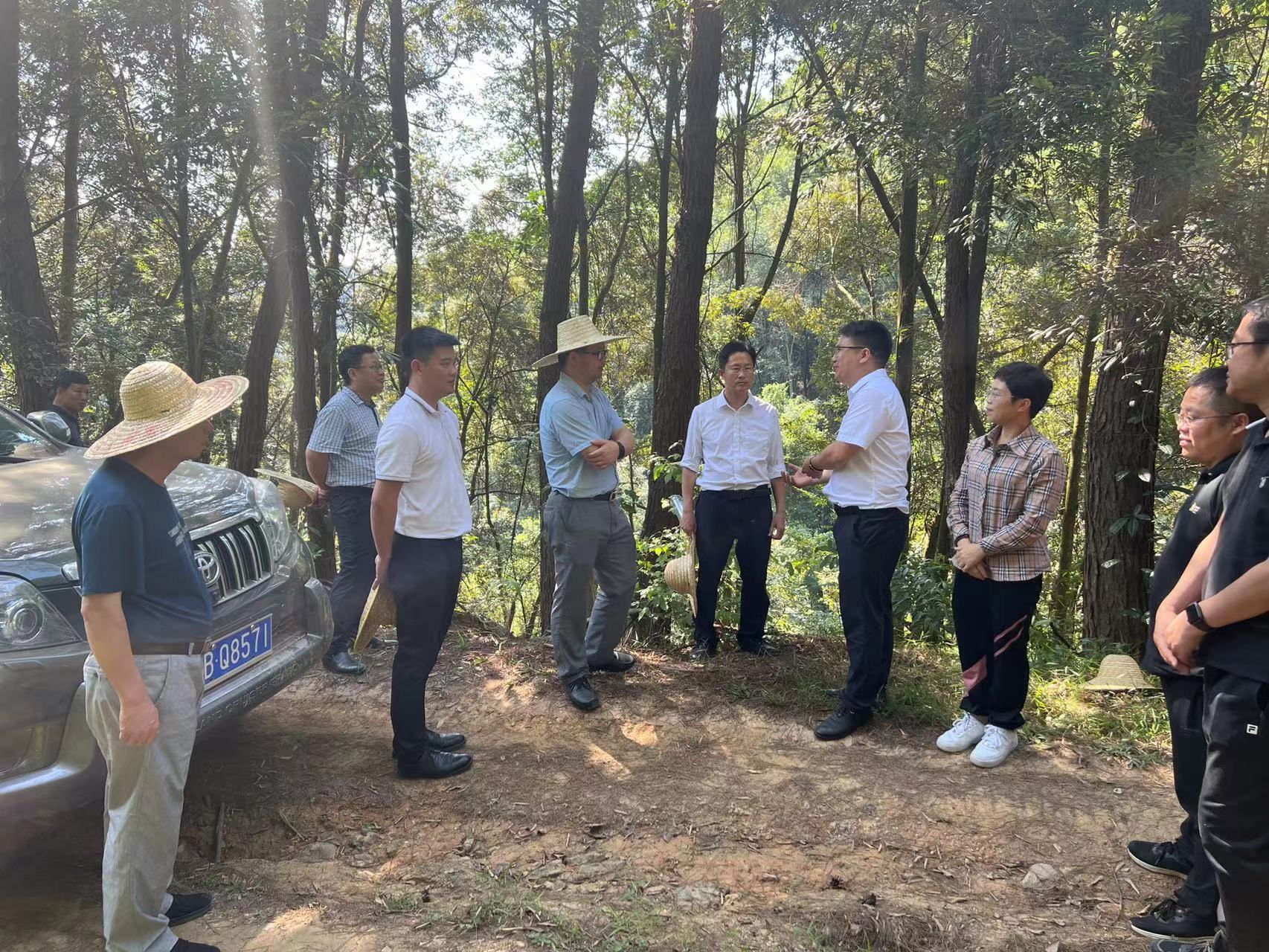 三门江林场场长、党委副书记韦宏（左三），党委副书记、纪委书记陶玉姣（右三），副场长肖崇福（左四）在肇鼎储备林公司管辖封开县六角林场林区内调研.jpg