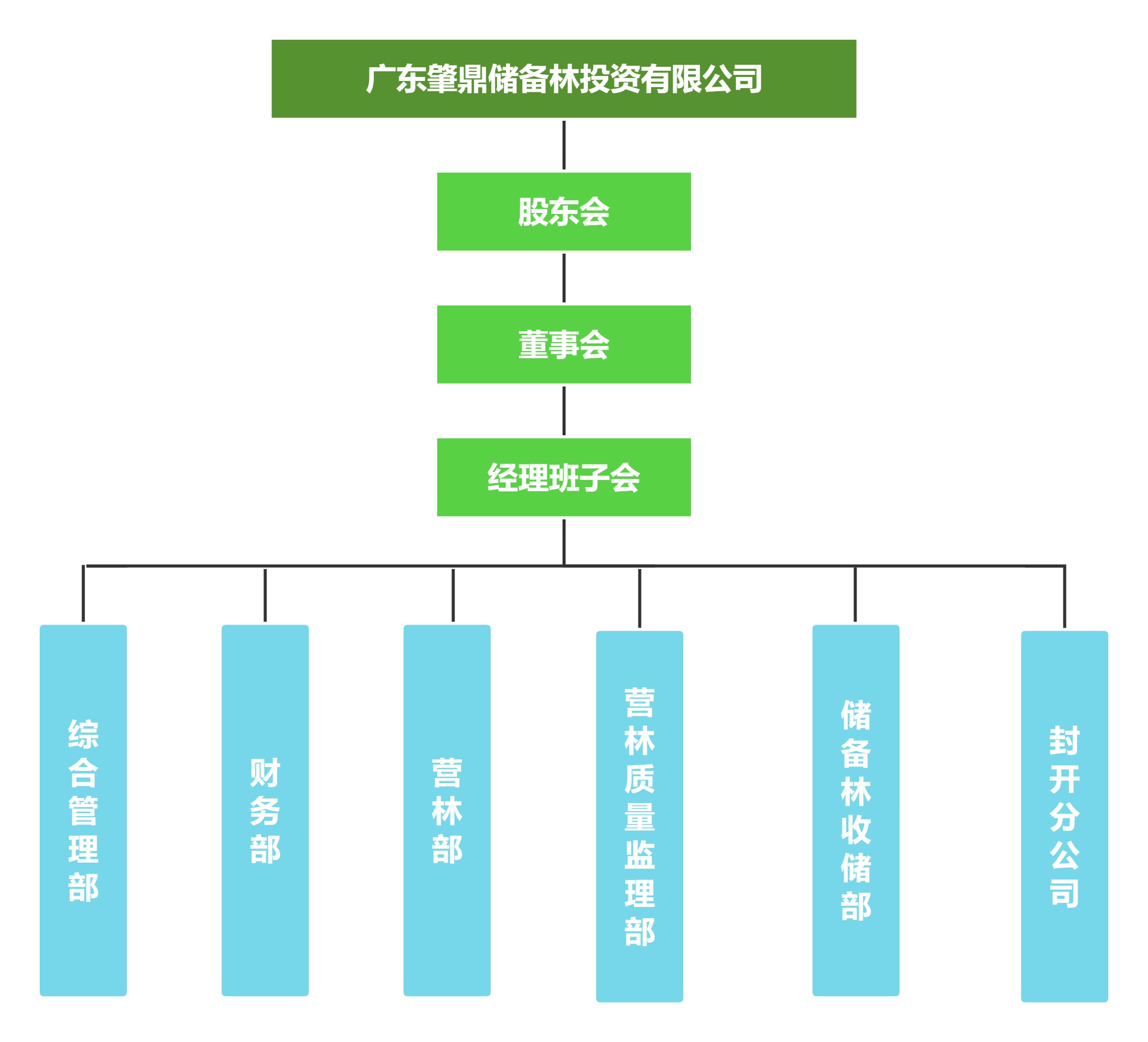 组织架构(3)